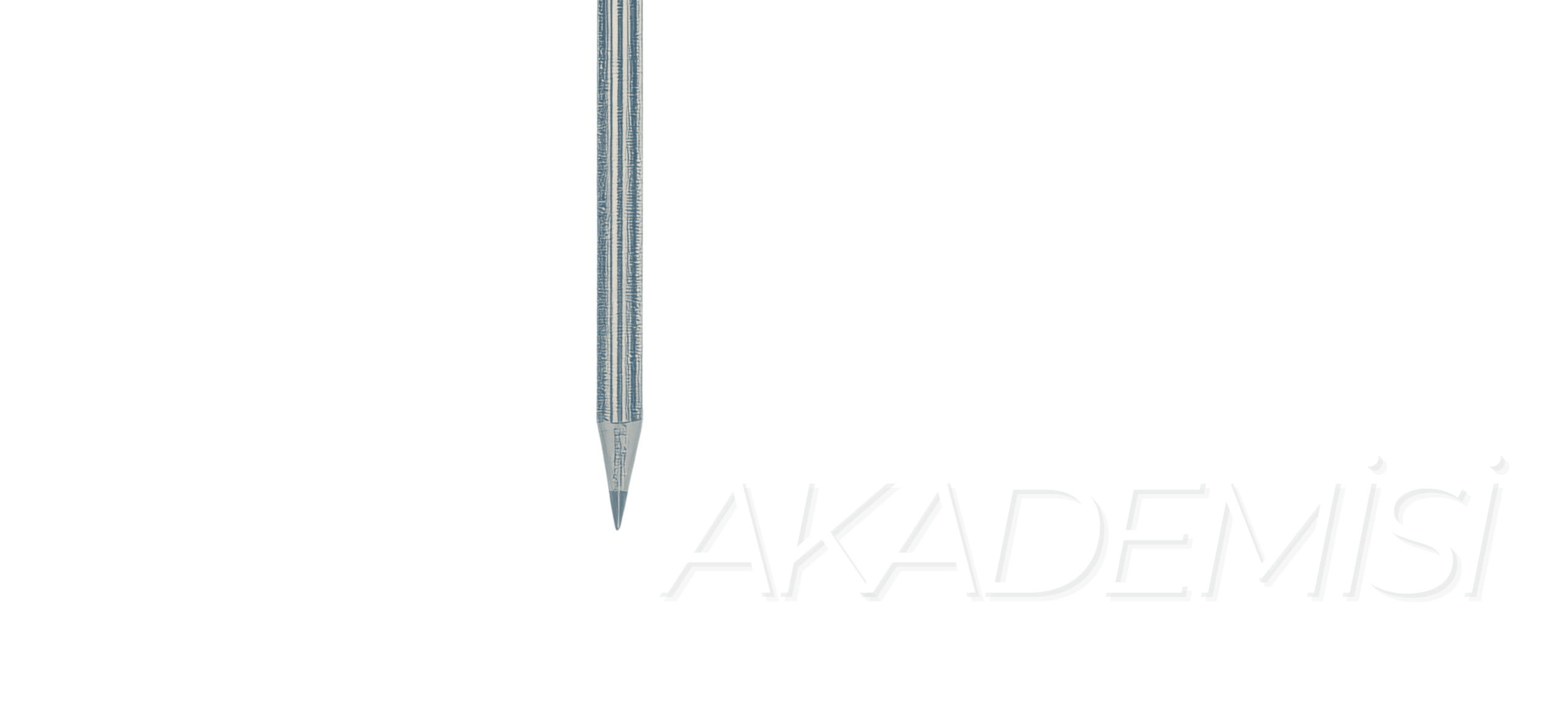 Yeryüzü Akademisi